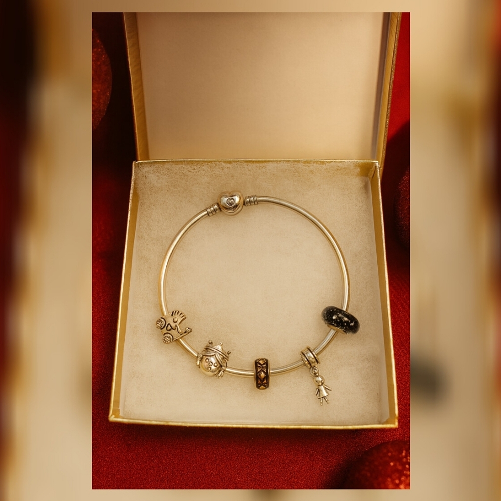 Pandora Bangle Bracelet and 5 Charms Sterling Silver